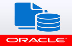 Oracle数据库管理工具有哪些?-北京乐竞体育·（中国）官方网站公司
