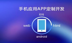 APP开发市场上常见问题分析-北京乐竞体育·（中国）官方网站公司