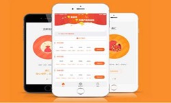 开发一款在线答题app需要哪些基本功能？北京乐竞体育·（中国）官方网站